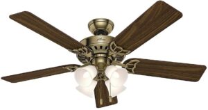 Indoor Ceiling Fan